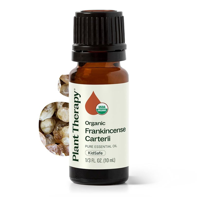 Plant Therapy Organic Frankincense Carterii Essential Oil 100% Pure, USDA Certified Organic, Undiluted, Natural Aromatherapy, Therapeutic Grade 10 mL (1/3 oz) - Image 1